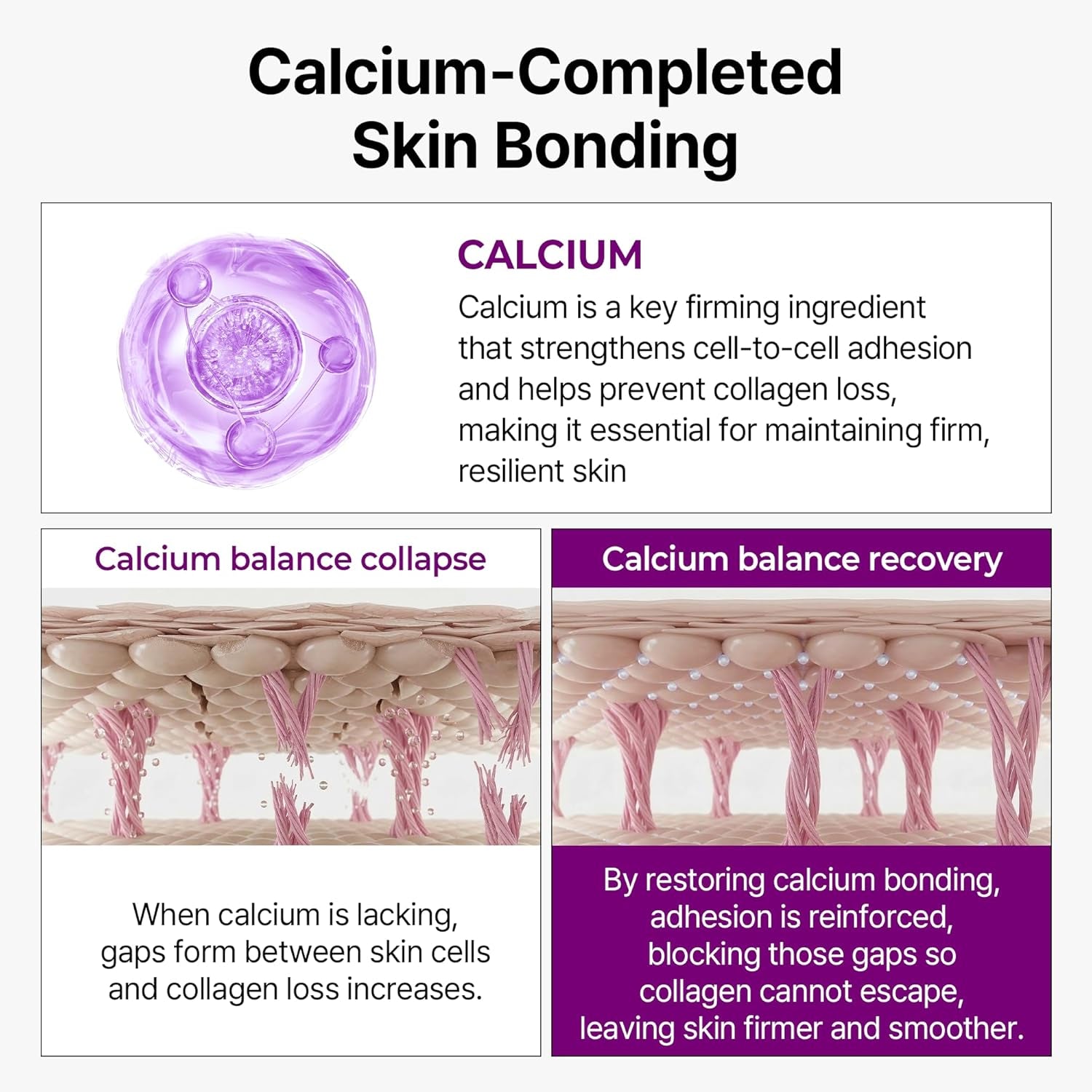 Dr.Melaxin Calcium Bonding Serum with REBORNIC 10,000Ppm, Firming & Volumizing Serum for Sagging Skin, Calcium Complex & Collagen for Elasticity & Skin Density, 1.69 Fl.Oz