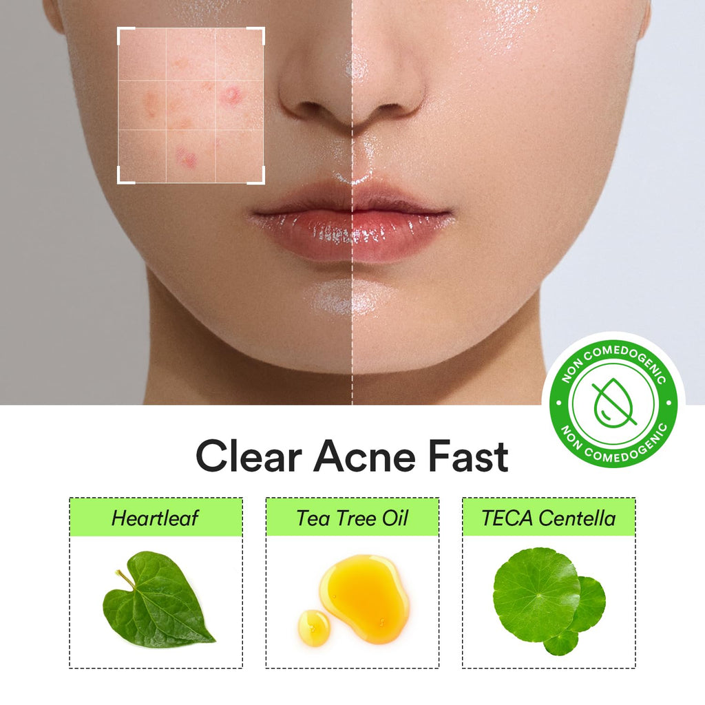 Abib Heartleaf Calming Spot Patch 2 Sizes 78 Patches, Waterproof Pimple Patches for Face, Invisible, Ultra-Adherent & Fast-Soothing Zit Care (10Mm*48Pcs / 12Mm*30Pcs)